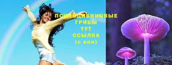 2c-b Алексин
