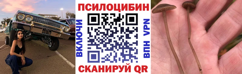 Псилоцибиновые грибы прущие грибы Лесосибирск